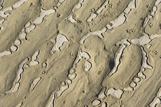 Structured sandy area with undulating natural patterns and shapes, Plage Saint Efflamm, Plestin-les-Gr&egrave;ves, Breton Plistin, Arrondissement Lannion, C&ocirc;tes-d'Armor, Brittany, France