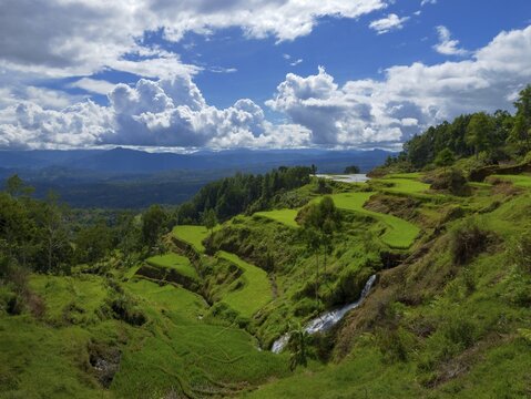 Rice fields, rice terraces, landscape near Limbong, Tana Toraja, Sulawesi, Indonesia