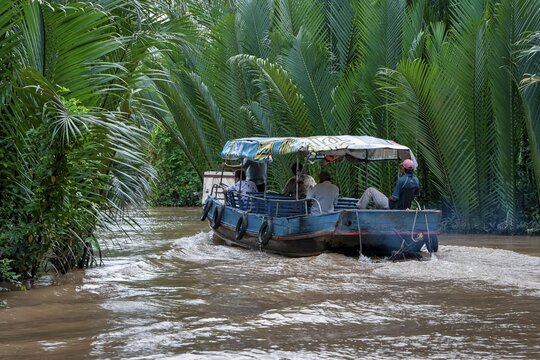 Boat between water palms, Mekong Delta, Vietnam