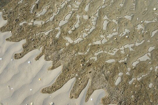 Wet sand surface with wavy patterns and small pebbles, Plage Saint Efflamm, Plestin-les-Gr&egrave;ves, Breton Plistin, Arrondissement Lannion, C&ocirc;tes-d'Armor, Brittany, France