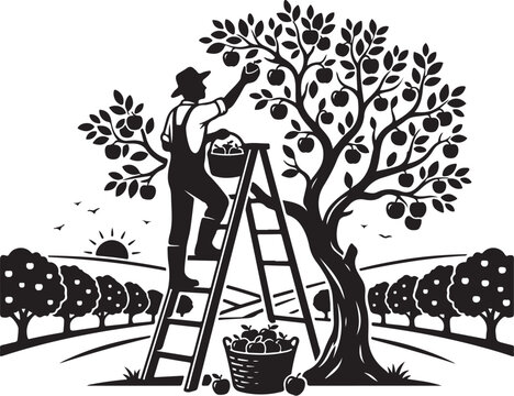 Black and white illustration, man picking fruit, orchard scene, vector graphics