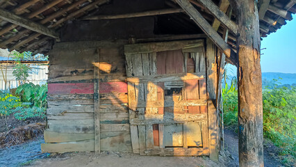 Fototapeta premium close up photo of a wooden hut in the middle of a rice field