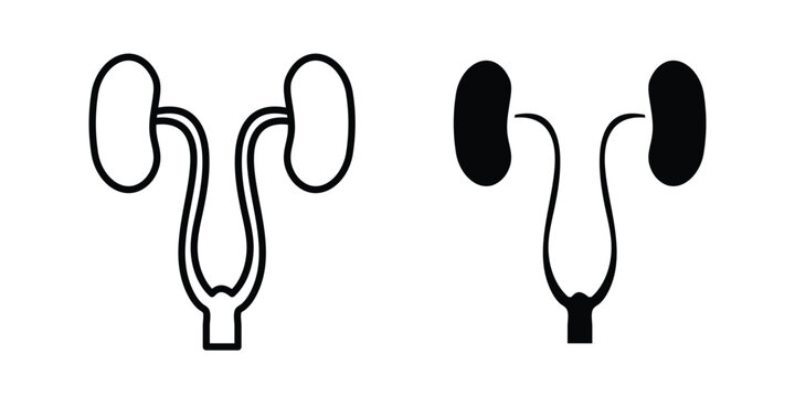 Urinary System icon vector. pictogram illustration on white background.