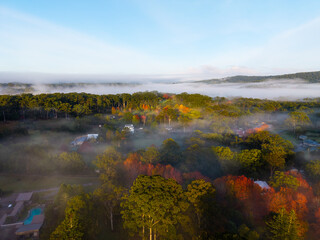 Obraz premium Aerial view of autumn foliage with layer of fog.