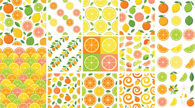 Fresh summer citrus fruit seamless pattern and vector element collection illustration