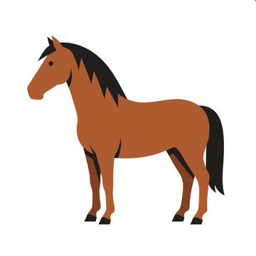 Flat vector illustration of a standing brown horse.