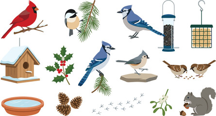 Winter Birds and Backyard Wildlife Illustration Set with Cardinal, Blue Jay, Birdhouse, Pinecones, and Seasonal Nature Vector Elements © MstSuborna