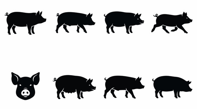 Black pig silhouette collection, 8 farm animal vector icons, domestic swine profile and head graphics for butchery and livestock farming isolated PNG with Transparent Background