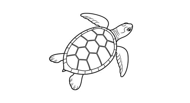 Turtle Swimming in Ocean Water.