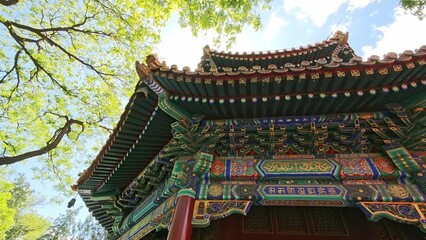 Obraz premium Colorful traditional Asian architecture with intricate details of a pagoda roof surrounded by lush green trees under a bright blue sky in a serene outdoor setting