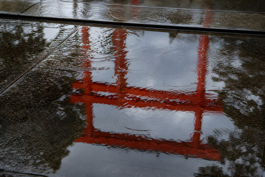 Torii Gate Reflection in Rain Puddle