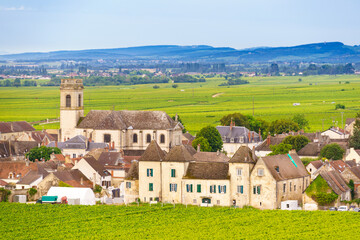 Fototapeta premium Summer vineyards landscape and village Pommard. Burgundy road. Cote de Beaune, Cote d'Or, France.