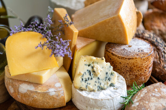 Assorted gourmet cheeses with herbs.