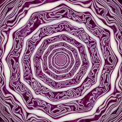 Obraz premium Abstract red cabbage spiral pattern, concentric shapes detail