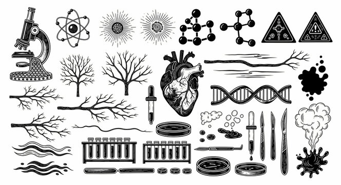 Vintage hand-drawn science and medical illustration set. Features microscope, heart, DNA, and lab equipment in engraving style. Versatile icons for biology and research branding projects.