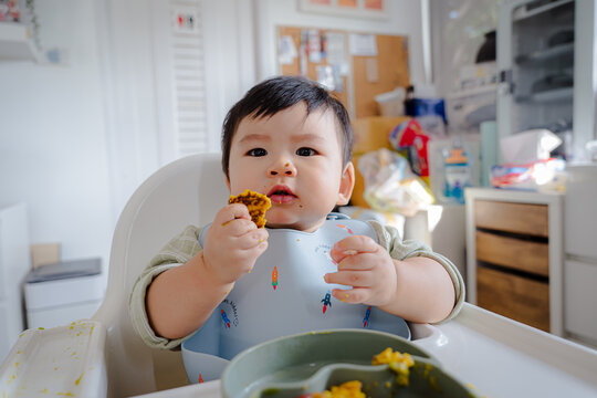 Asian Baby Using Finger to Feed Herself a Food with Baby Led Weaning Concept.Cute Asian baby boy eating finger food in high chair.	