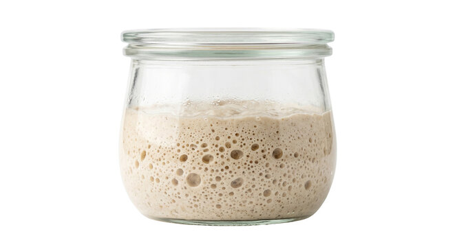 Active sourdough starter bubbling in clear glass jar