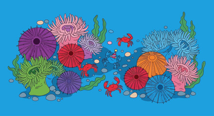 Colorful undersea coral reef with cartoon crabs and anemones, vector illustration © fitriyani