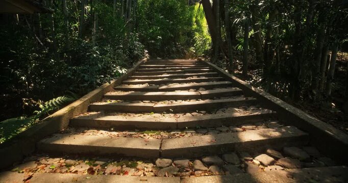 Old stone steps leading through forest in Japanese village - steady cam movement