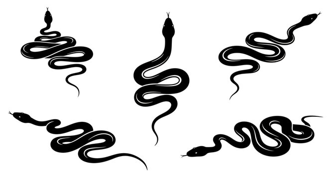 Central candle surrounded by stylized snakes forming a circular black silhouette.