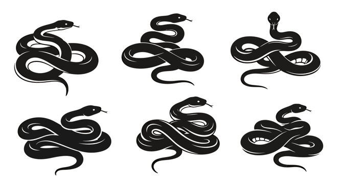 Set of six black coiled snakes on a white background, multiple serpents arranged in a pattern.