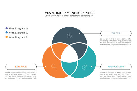 Venn diagram infographic chart template for business 3, 4, parts, options, presentation with venn diagram elements vector illustration.