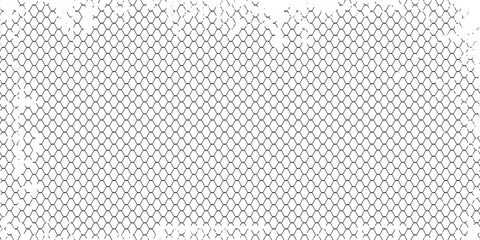 Fishing or soccer net. Repeated hexagon pattern. Black wired mesh texture isolated on white background. Metallic or fabric fence, cage or lattice structure. Vector graphic Illustration. © roni