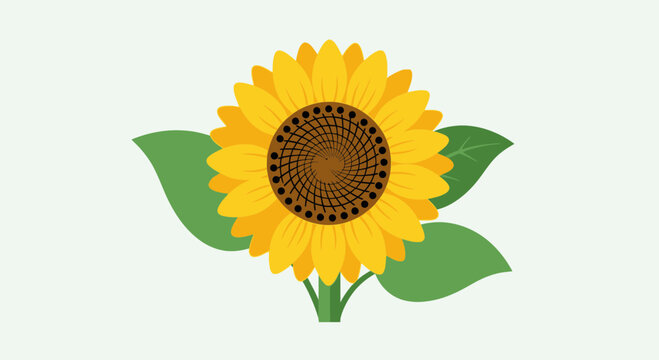 Vibrant Yellow Sunflower Closeup Illustration.