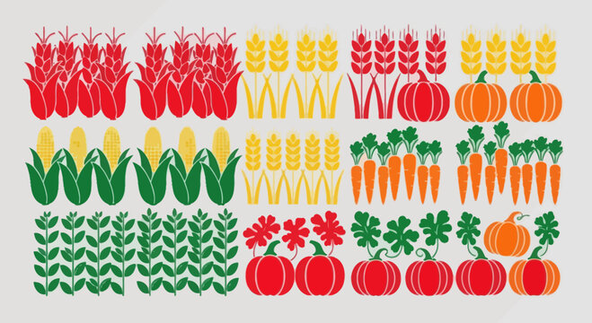 Vector illustration of autumn harvest crops and pumpkins, flat graphic style