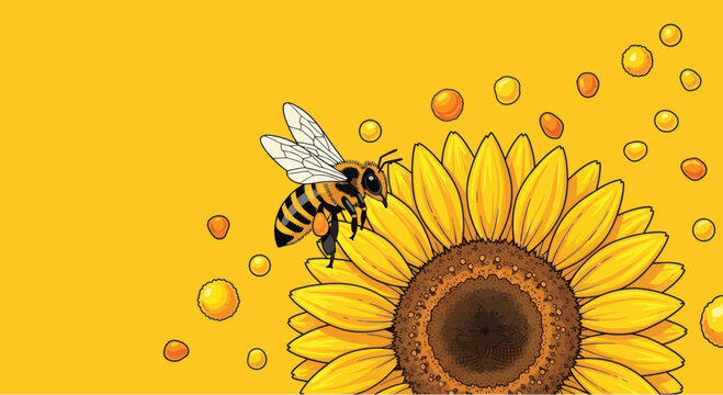 Vector illustration of a bee on a sunflower with honey drops, graphic element
