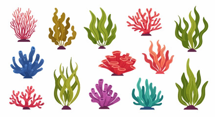 Oceanic flora collection featuring colorful coral and seaweed varieties, isolated on white. © steven