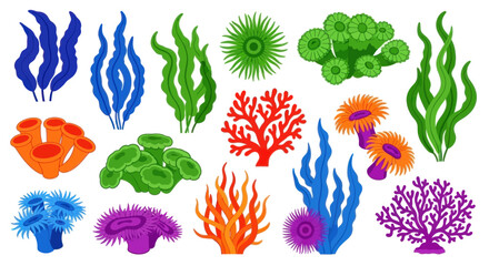 Colorful coral reef elements collection, flat design graphic elements, isolated on white © siti