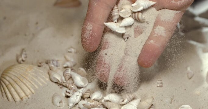 Super Slow Motion An Intimate Scene Capturing Hands Releasing Spiral Shells