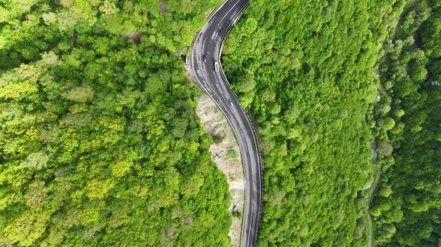 Top down aerial drone view of winding mountain highway through dense green forest with cars 4K.