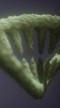 A detailed look at fossilized teeth revealing the structure of a prehistoric animal. The focus is on the sharp points and texture of the remains.