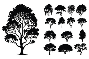 Collection Of Diverse Tree Silhouettes In Black Vector Illustration Silhouette © MDHASAN