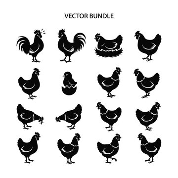 Vector bundle of black chicken and rooster silhouettes