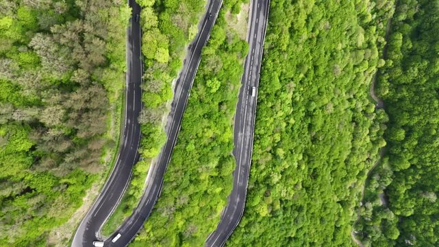 Top down aerial drone view of winding mountain highway through dense green forest with cars 4K.