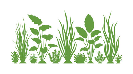 Fototapeta premium Adorable underwater plants set with simple vector illustrations.