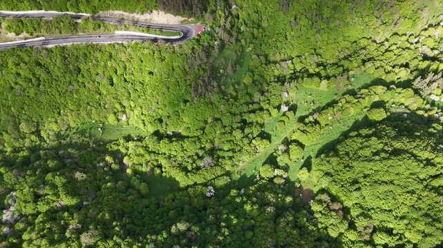 Top down aerial drone view of winding mountain highway through dense green forest with cars 4K.