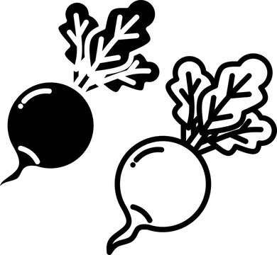 Fall season fresh beetroot silhouette and line art