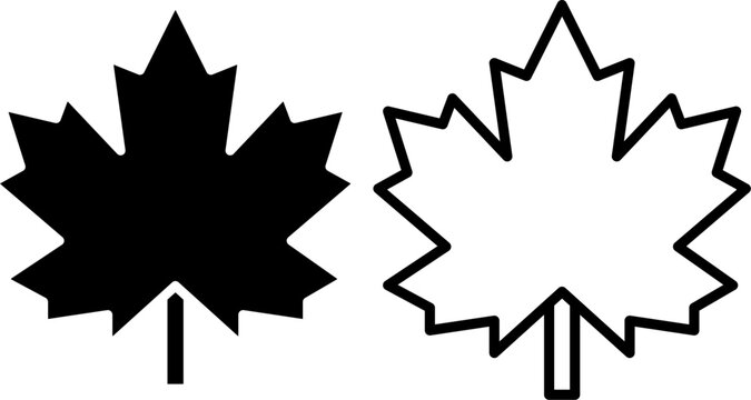 Simple black and white maple leaf linear design element
