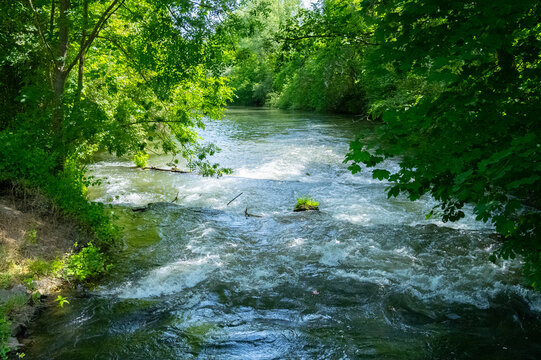 Schnakenpfad in Mei&szlig;enheim in den Rheinauen