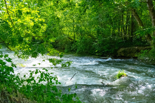 Schnakenpfad in Mei&szlig;enheim in den Rheinauen