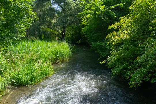 Schnakenpfad in Mei&szlig;enheim in den Rheinauen
