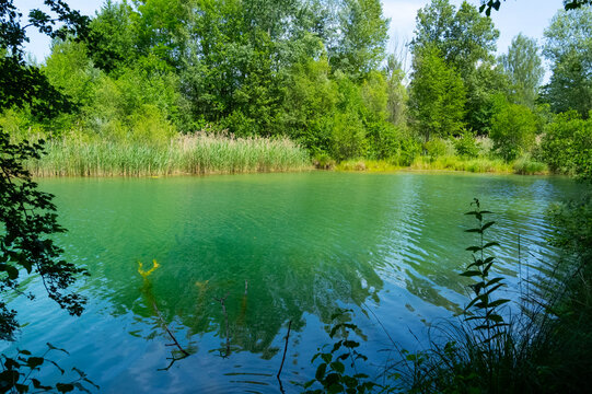 Schnakenpfad in Mei&szlig;enheim in den Rheinauen