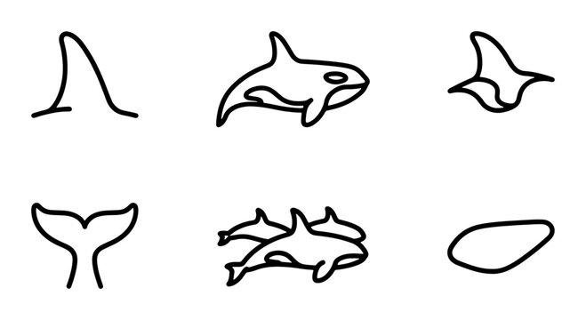 Minimalist Orca Whale Icons, Killer Whale Vector Graphics, Marine Mammal Line Art Set