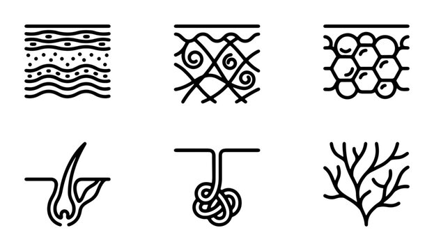 Skin Layers and Hair Follicle Icons, Biology and Dermatology Vector Set