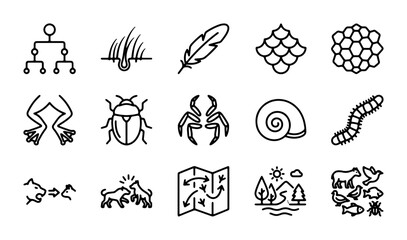 Fototapeta premium Nature Ecosystem Icons Set: Biology, Wildlife, Environment, Science, Food Chain Vector Graphics