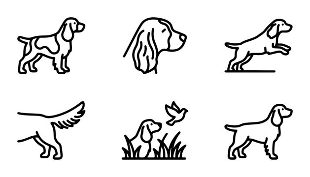 Spaniel Dog Icons, Vector Set: Hunting, Portrait, Tail, Silhouette, Outline Graphics